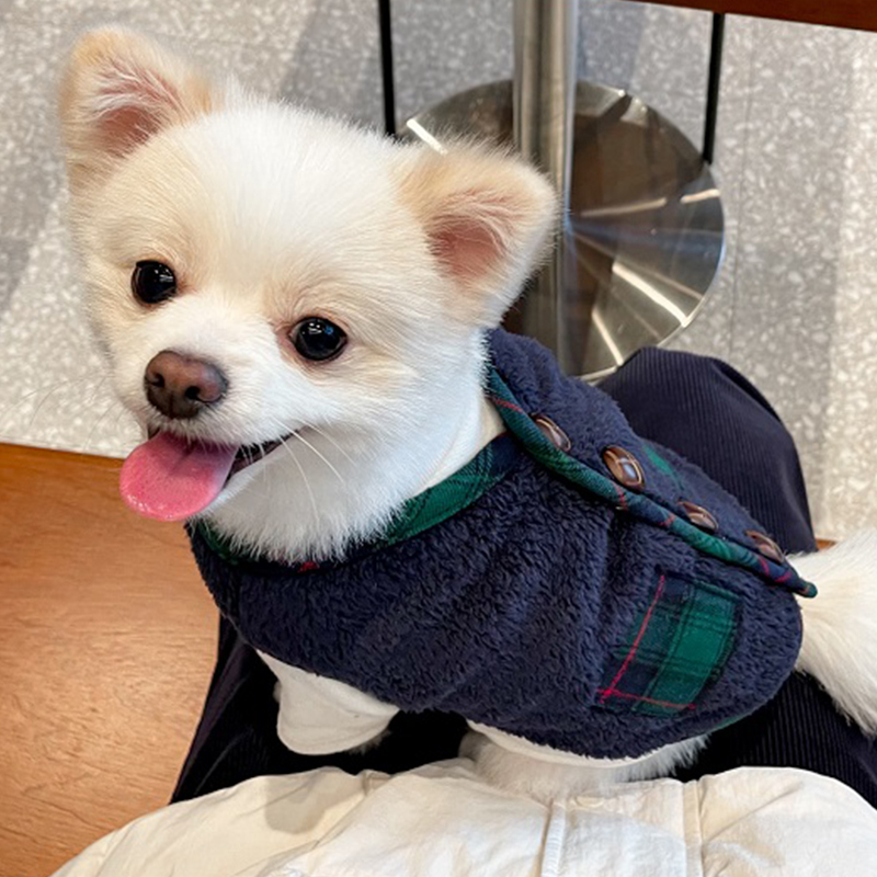 送围巾小狗狗衣服新年冬季棉衣猫咪宠物泰迪比熊猫猫小型犬秋冬款 - 图2