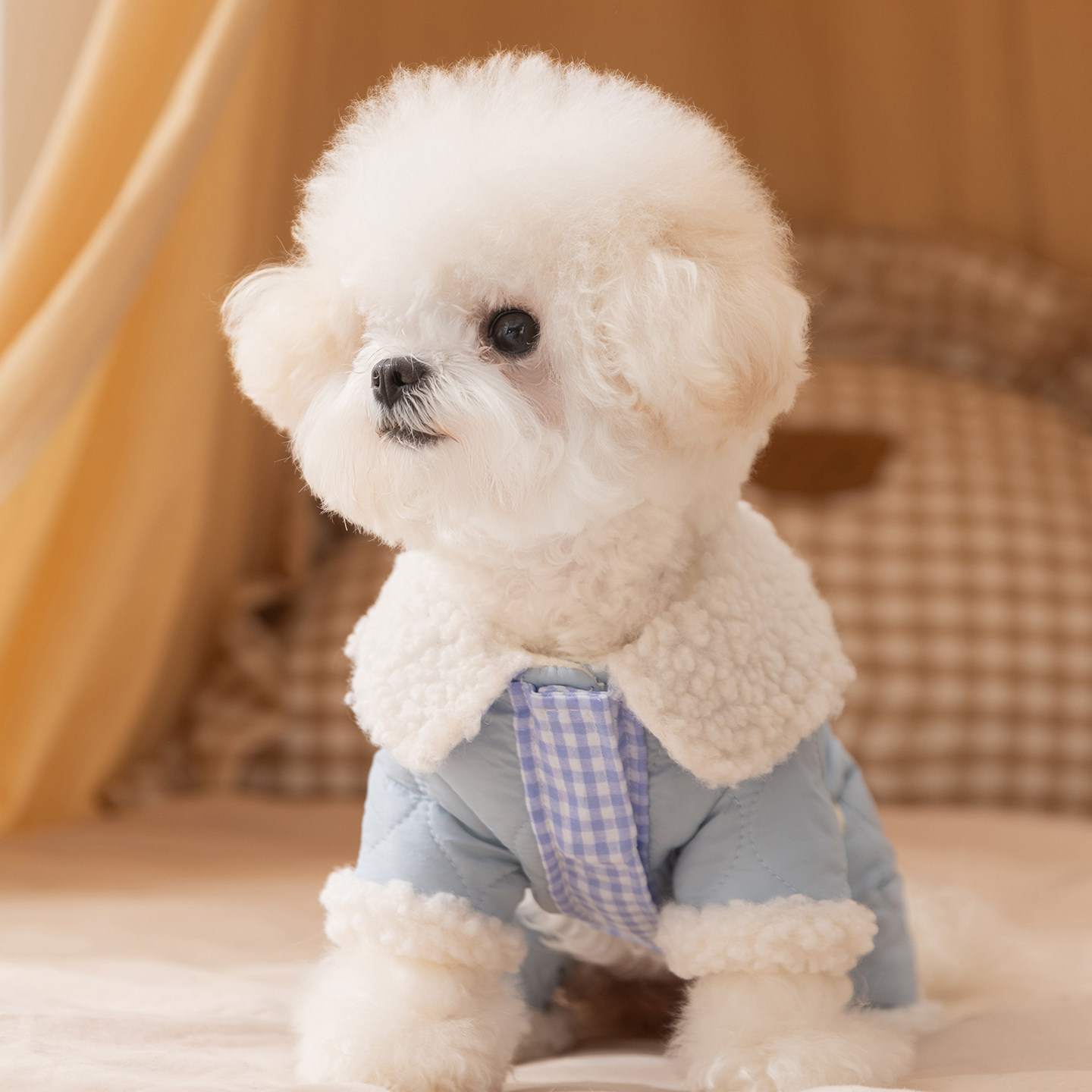 狗狗衣服秋冬季保暖绗棉四脚棉衣自带牵引泰迪比熊小型犬宠物冬装,淘宝优惠券,粉丝福利购,淘宝优惠卷