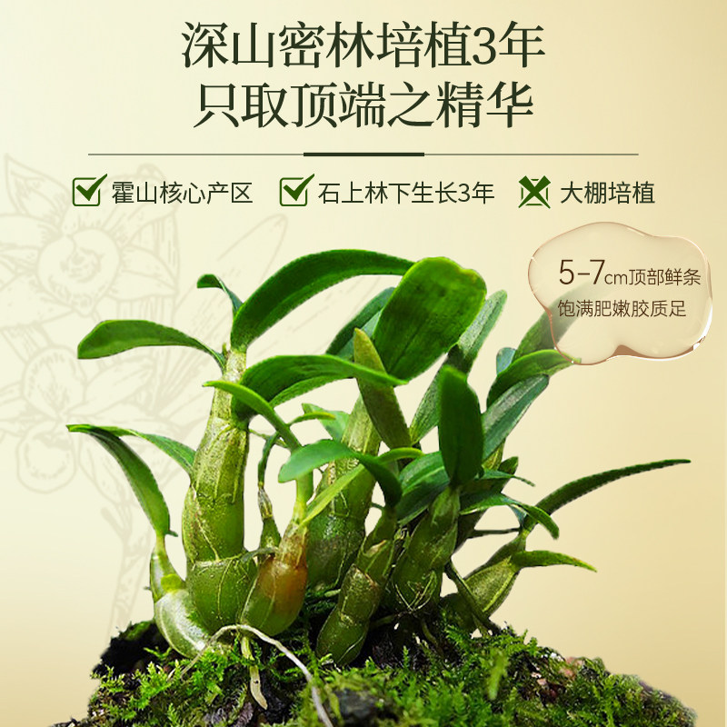 余仁生铁皮50g1级霍山罐装送礼枫斗 余仁生石斛/枫斗