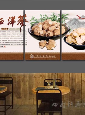 西洋参人参灵芝图片中药材海报挂图中草药功效广告贴画药房挂画