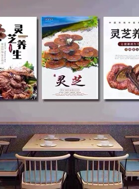 中药材海报挂图灵芝中草药养生中医馆宣传画当归冬虫夏草贴画