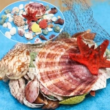 Натуральная раковина коралловый песок Средиземноморский морская вода для воды коробки рыба украшение аквариума океанская тема тема свадебной сцены сцены