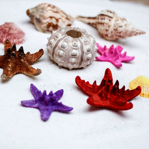 Натуральная раковина коралловый песок Средиземноморский морская вода для воды коробки рыба украшение аквариума океанская тема тема свадебной сцены сцены