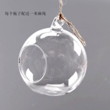 Прозрачная стеклянная бутылка микроамбэпля является гидропонным растением