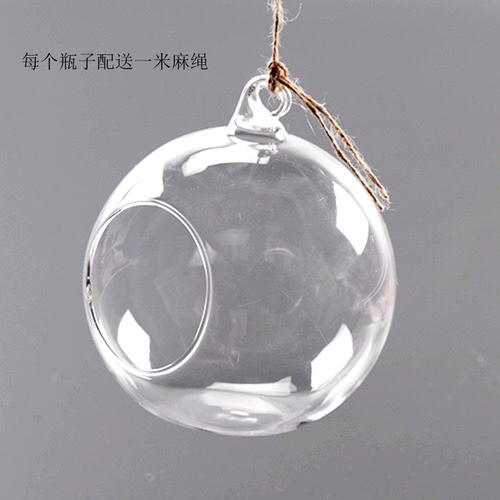 Прозрачная стеклянная бутылка микроамбэпля является гидропонным растением