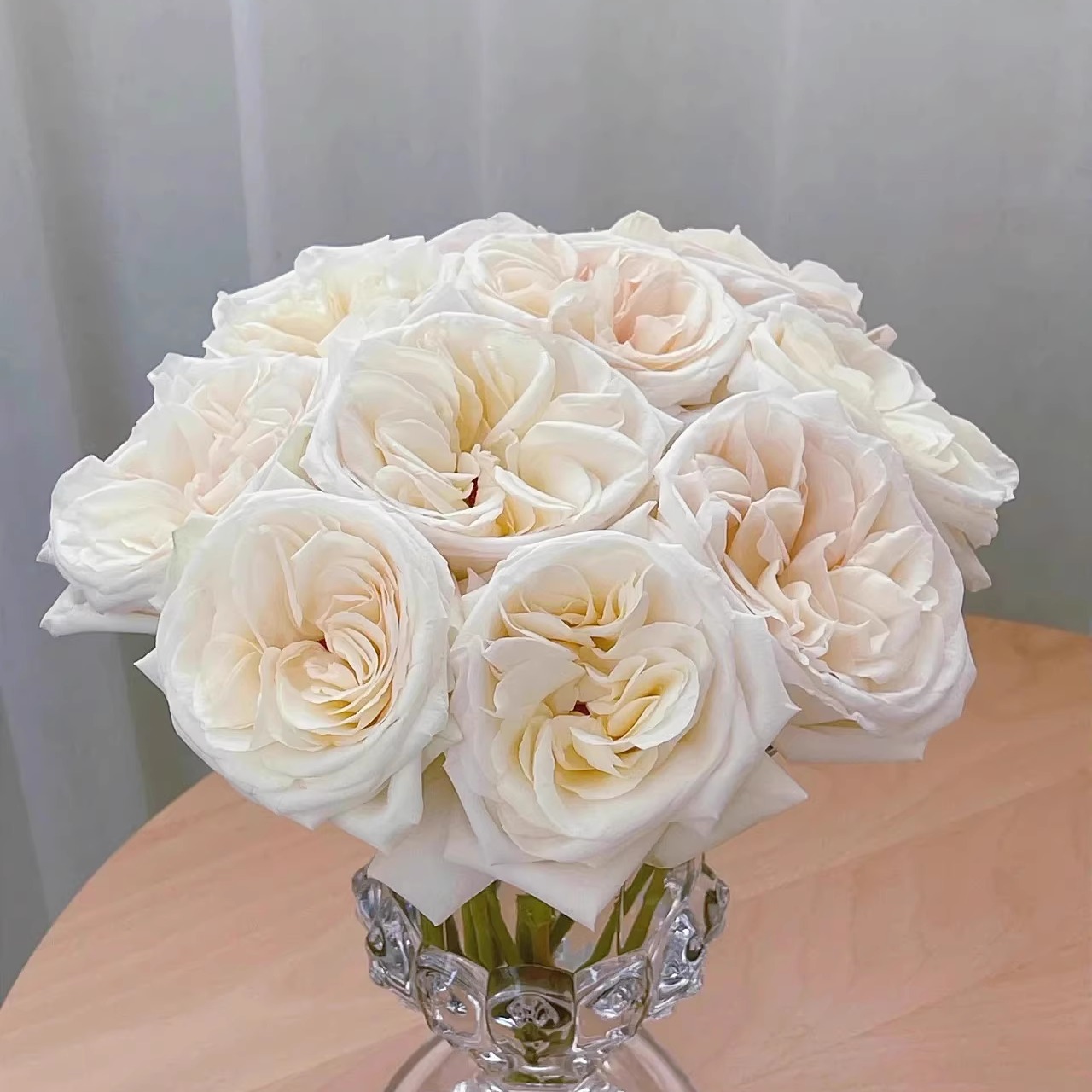 白哈娜/白荔枝 月季花苗 果香大花灌木 勤花直立月季阳台庭院盆栽 - 图2