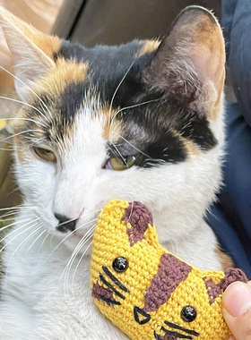 猫头项圈项链原创设计手作