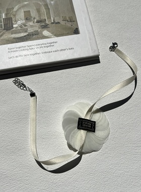 超仙白天鹅～纯欲花朵项链小众设计感项链女锁骨链颈链白色choker