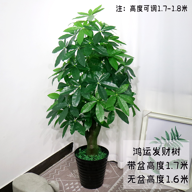 仿真绿植发财树摇钱树系列客厅装饰绿色植物落地绢花盆栽塑料盆景 - 图0