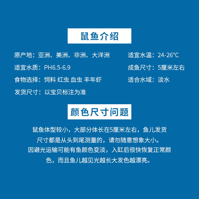 鼠鱼小型清道夫鱼清洁鱼琵琶垃圾鱼金苔鼠熊猫黑线黄金胡子鱼除藻 - 图2