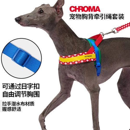 未卡Chroma宠物猫狗胸背带牵引绳套装遛狗绳子大中小型犬猫咪新款 - 图0