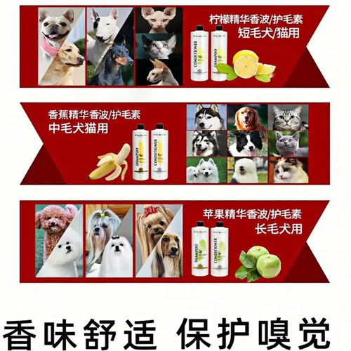 isb伊珊娜宠物沐浴露意大利经典浴液狗狗猫洗澡香波护毛素沐浴乳 - 图2