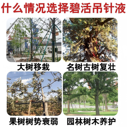 森活碧活大树营养液吊瓶植物吊针袋果树输液管移栽树木复活生根剂 - 图3