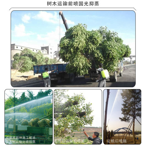 国光抑蒸抑制蒸发剂减少叶面蒸腾防止水分散失抗旱保水剂浓缩型 - 图2