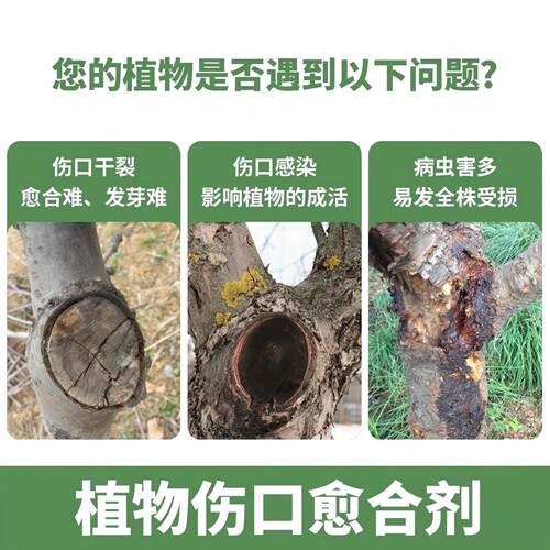 国光糊涂植物伤口愈合剂大树木修复果树嫁接盆景花卉修剪树枝防腐 - 图0