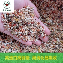 Exploits Lord Dragon A Level Breeding of Whirlpool Devil Small Grain grain Feed Seixin Geon Spray Cove Grain 50 kilos