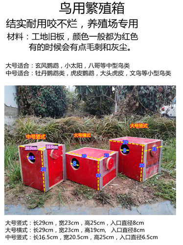 家养鹦鹉养殖专用牡丹虎皮玄风下蛋窝鸟屋 鹦鹉繁殖箱小鸟木质窝 - 图0