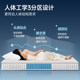 Yalan AAAAA grade antibacterial and anti-mite mattress