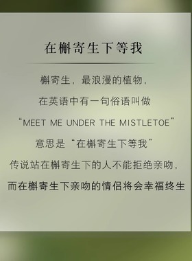 纯银情侣手链一对小众高级感2024年新款潮七夕情人节礼物送男女友