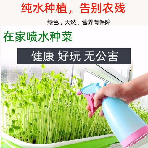 豆芽发芽盆豌豆种植芽菜豆苗芽苗菜育苗托盘无土栽培水培蔬菜设备 - 图0