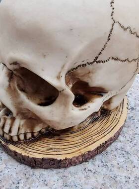 庭院人摆件万圣节雕塑花盆装饰木乃伊新品跨境创意工艺品打坐骷髅