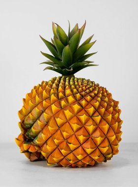 跨境潮流风格菠萝装饰