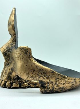 跨境新品骷髅头眼镜支架