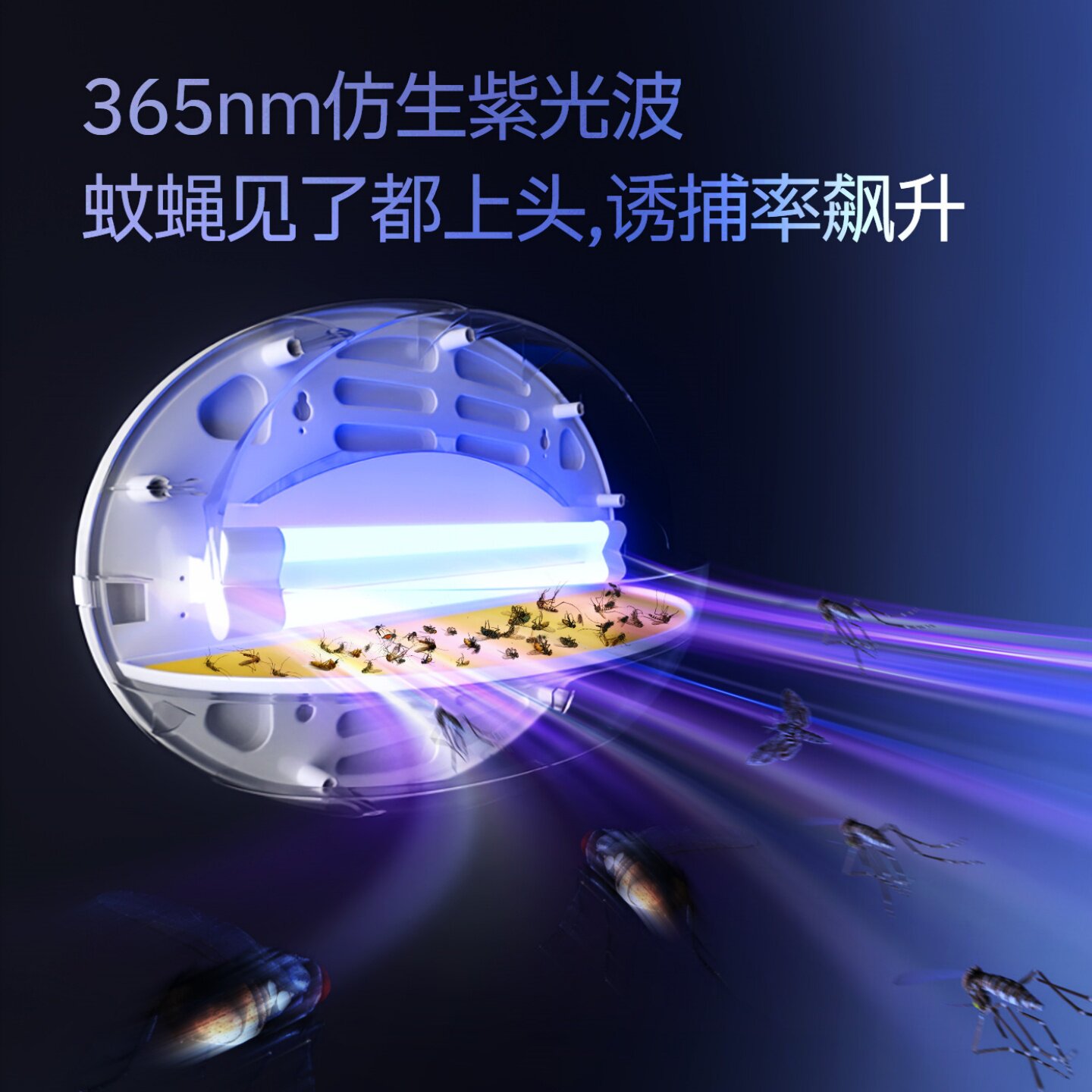 灭蝇灯餐厅饭店用新款纳迪森粘捕式灭蚊灯商用商铺灭苍蝇蚊子神器,淘宝优惠券,粉丝福利购,淘宝优惠卷