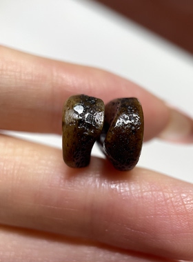 藏传百年牦牛骨灵骨珠一对11.5mm 看细节材质自观配珠老珠子 1128