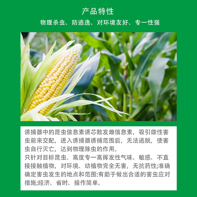 甜菜夜蛾 斜纹夜蛾陷阱蛾类诱捕器 昆虫性诱剂 进口诱芯 有机农业 - 图1