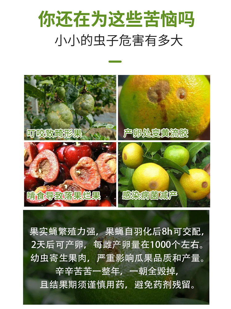 果攸果蝇诱粘剂诱虫瓶 粘蝇纸瓜实蝇苦瓜丝瓜柑橘蔬菜苍蝇诱捕器 - 图0