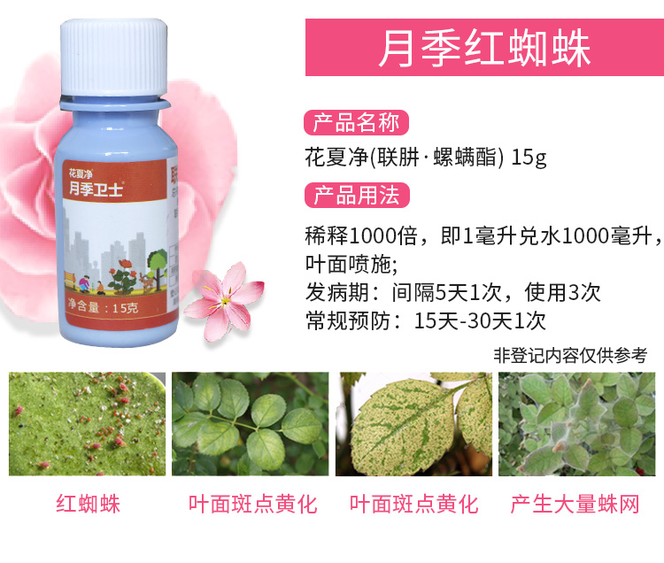 月季卫士套装月季黑斑病白粉病红蜘蛛蚜虫月季花常用药-图1