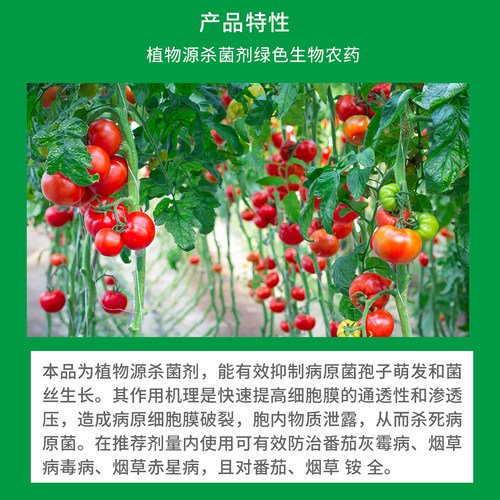 消洒5%香芹酚 番茄葡萄锈病抗真菌病毒病赤星病灰霉病生物杀菌剂 - 图1