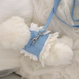 Корейские домашние кошки, собаки и собаки, кружевные лук полой взрывы на задней части грудной клетки