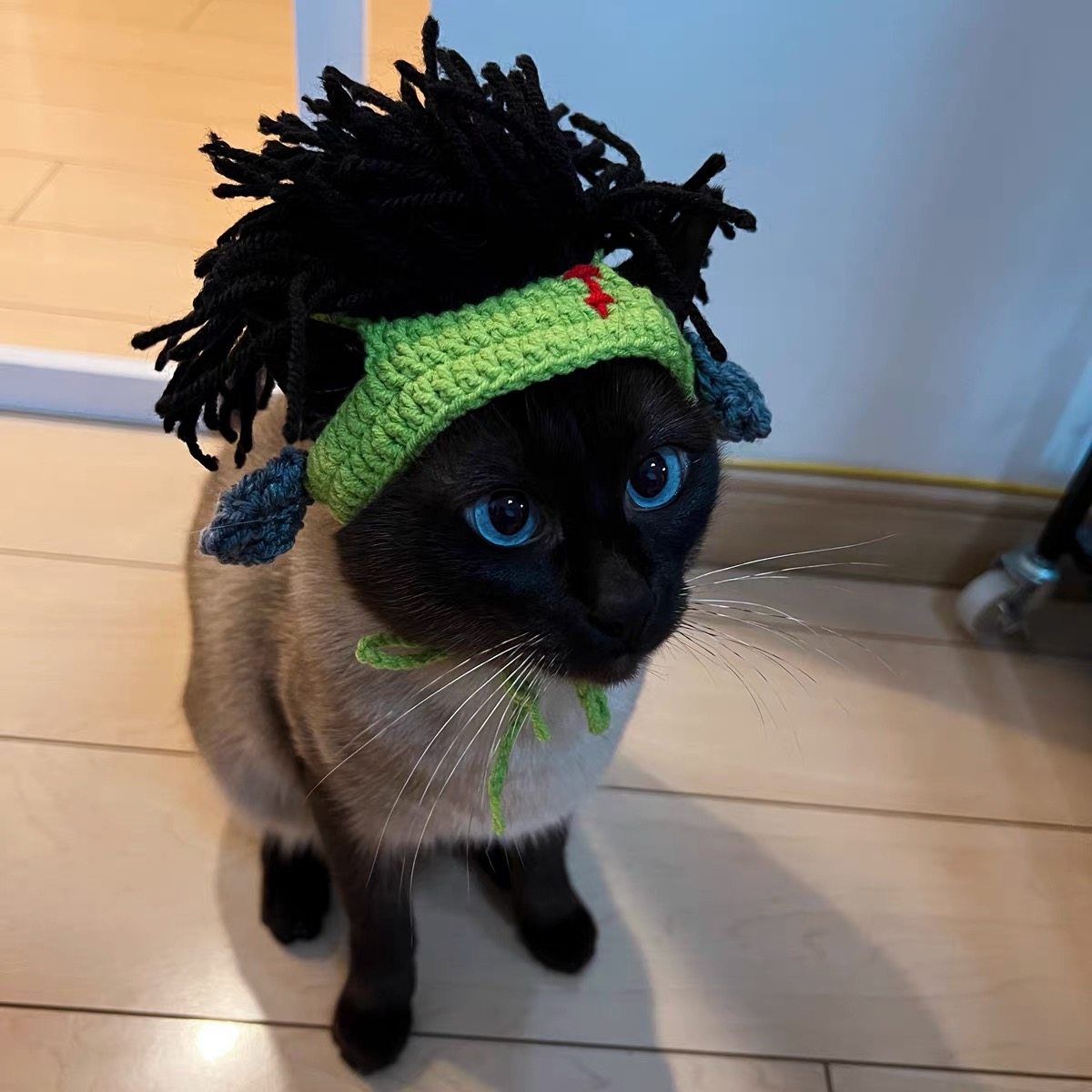 朋克风猫咪搞怪帽子无毛猫斯芬克斯猫头套狗狗搞笑摇滚装饰变装帽,淘宝优惠券,粉丝福利购,淘宝优惠卷