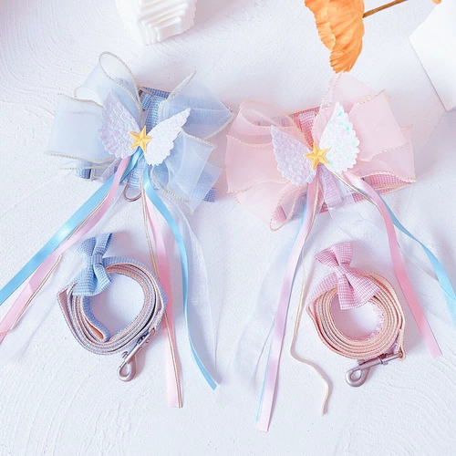 Собака Pet Cat Dog City 天 天 天 仙 仙 仙 仙 仙