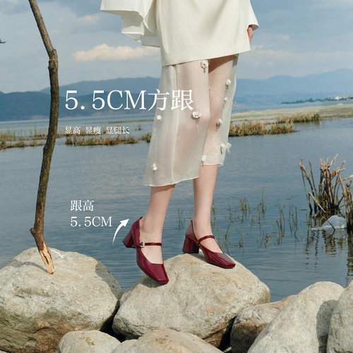 百思图2026秋新款通勤法式粗跟玛丽珍鞋裸色高跟鞋女单鞋F1611CQ6 - 图2