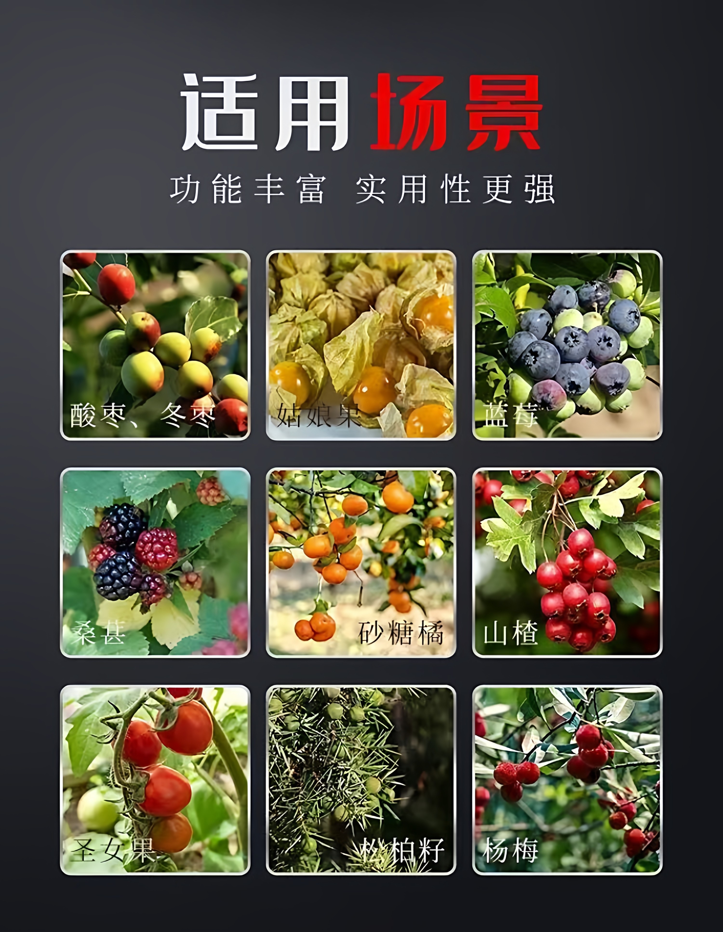 新款摘枣子神器加厚酸枣镀锌钢摘果器采果山枣柏树摘枣神器工具,淘宝优惠券,粉丝福利购,淘宝优惠卷