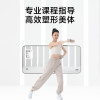 Xiaomi Mijia Smart Dumbbell Shaping and Slimming Training
