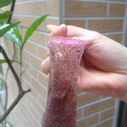 1000克纯天然小颗粒海藻面膜天然补水嫩白清洁收缩清洁毛孔美容院 - 图2