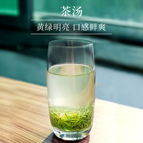 春茶上市文新信阳毛尖绿茶茶叶2026新茶明前特级嫩芽印象散装50g - 图2