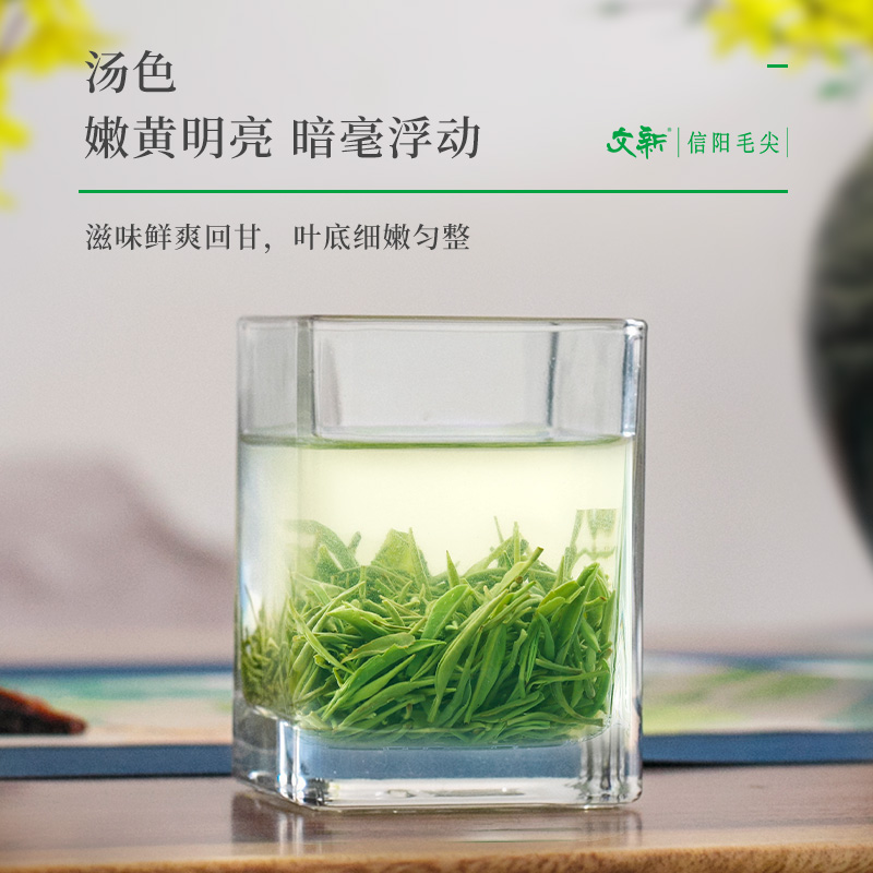 春茶上市文新信阳毛尖绿茶2024新茶叶明前特级嫩芽叶茶村送礼盒装-图1