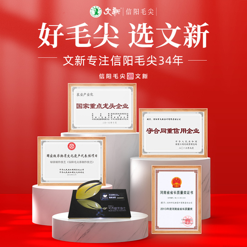 文新信阳毛尖绿茶茶叶2024新茶明前特级品鉴茶盒装4g*2袋