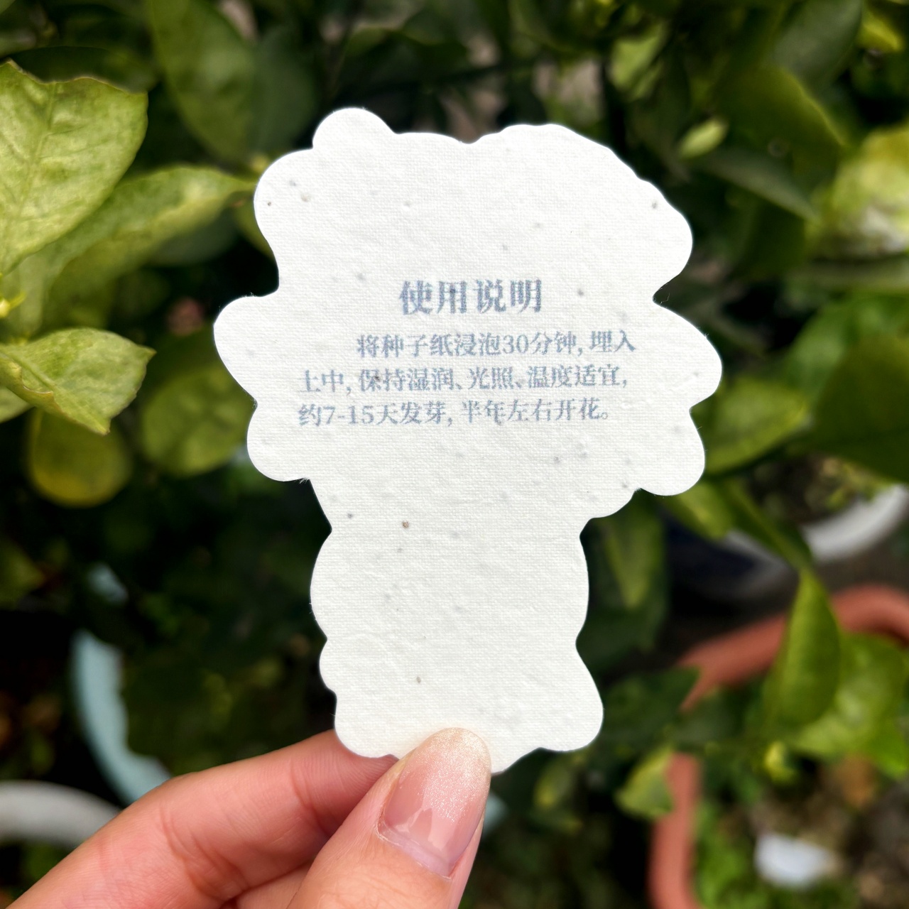 异形花束种子纸 向日葵郁金香 发芽纸创意贺卡卡片定制 文创周边