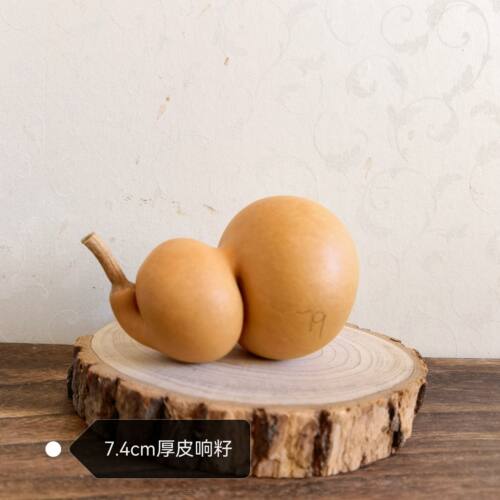 一物一图八宝钱袋子葫芦文玩葫芦家居摆件盘玩异形嘞扎葫芦 - 图2