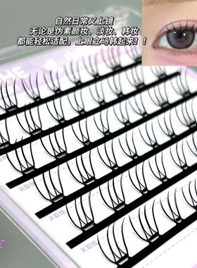 免胶免卸~蜜小盒立式女团假睫毛！小薄片韩系根根分明精致纯欲