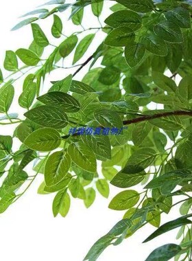 仿真植物榆树叶手感洋槐树枫杨叶子朴树假刺槐叶乔木家居搭配装饰