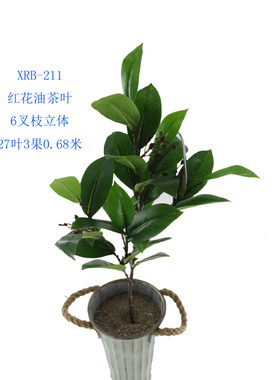 新款绿植仿真茶叶红花油茶树单枝毛尖茶枯树田园落地装饰摆设销售