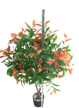 仿真植物假树叶橄榄月桂红楠