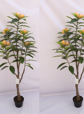 仿真植物盆栽枇杷水果